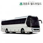 현대 유니버스 23연식 엘레강스 관광 시외직행 47인승 디젤 60개월 법인 리스 전국