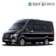 현대 쏠라티 23연식 버스 디럭스 15인승 60개월 법인 리스 전국